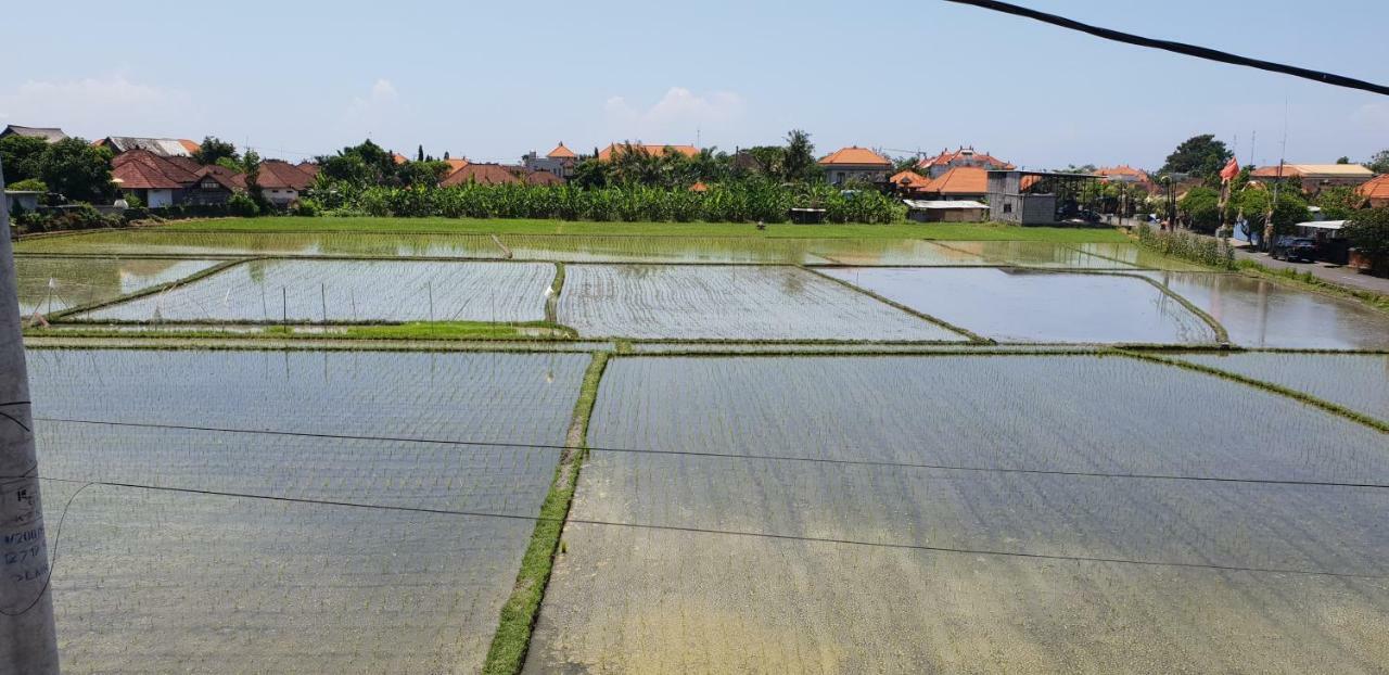Sun Homestay Canggu Eksteriør bilde