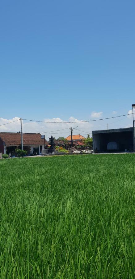 Sun Homestay Canggu Eksteriør bilde